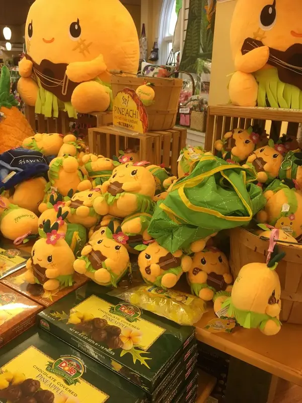 スポット内のおすすめ