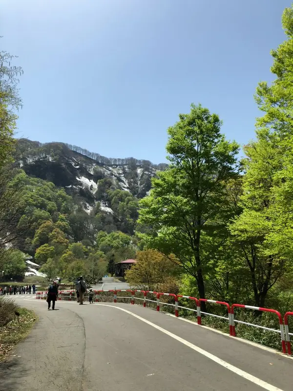 プチ運動
