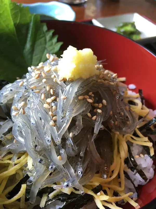 朝獲れしらす丼