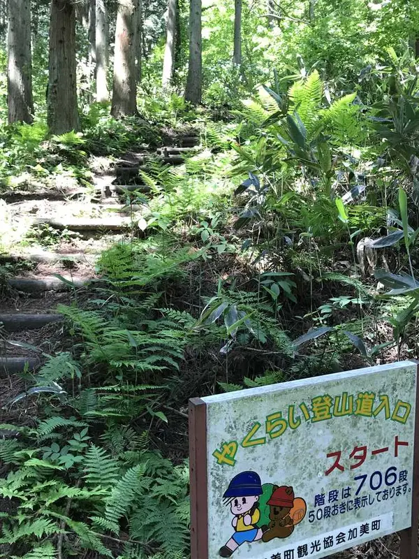 ここから木の階段スタート