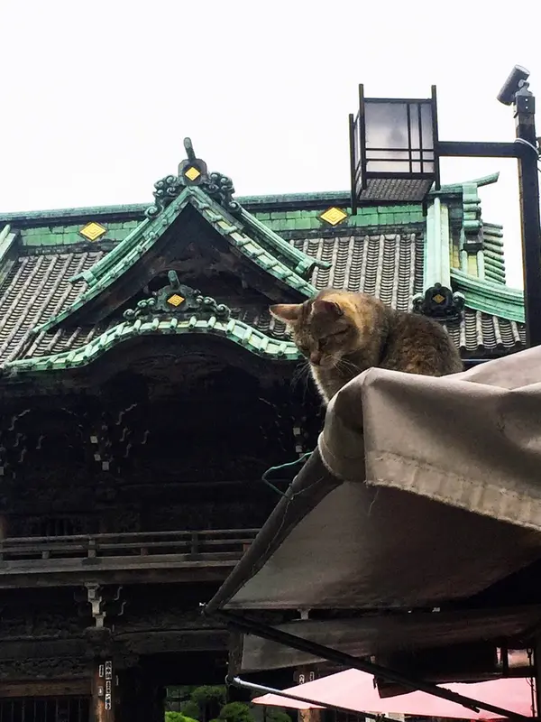山門