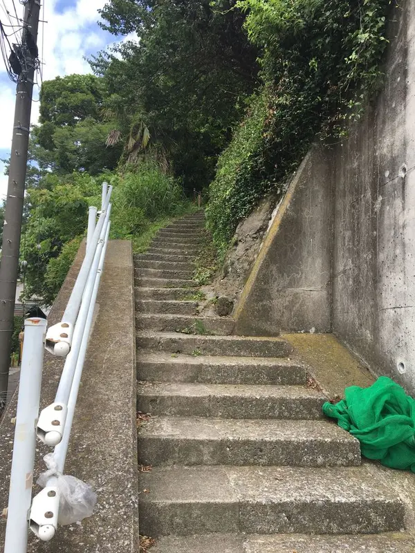 上を見上げると