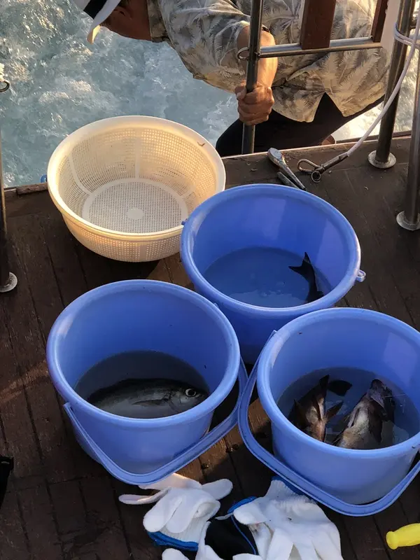 釣果