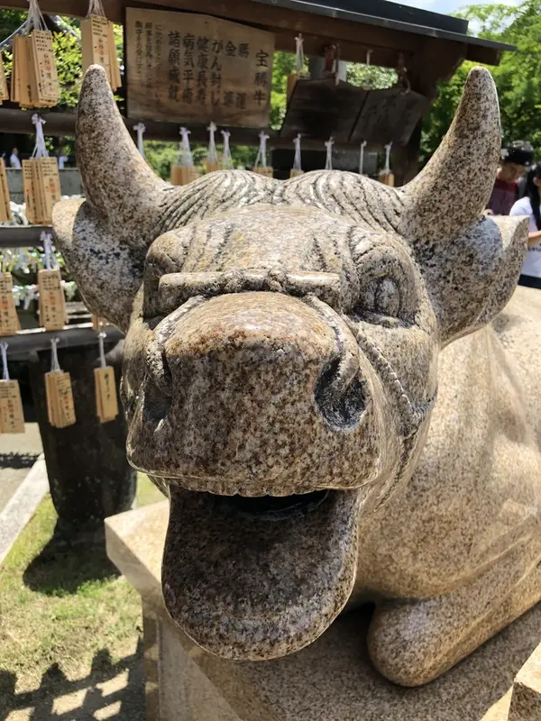 宝勝牛