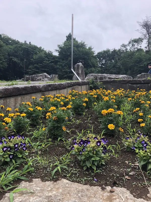 日時計と花