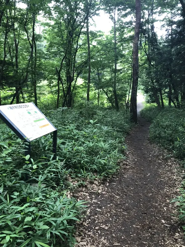 花菖蒲園道