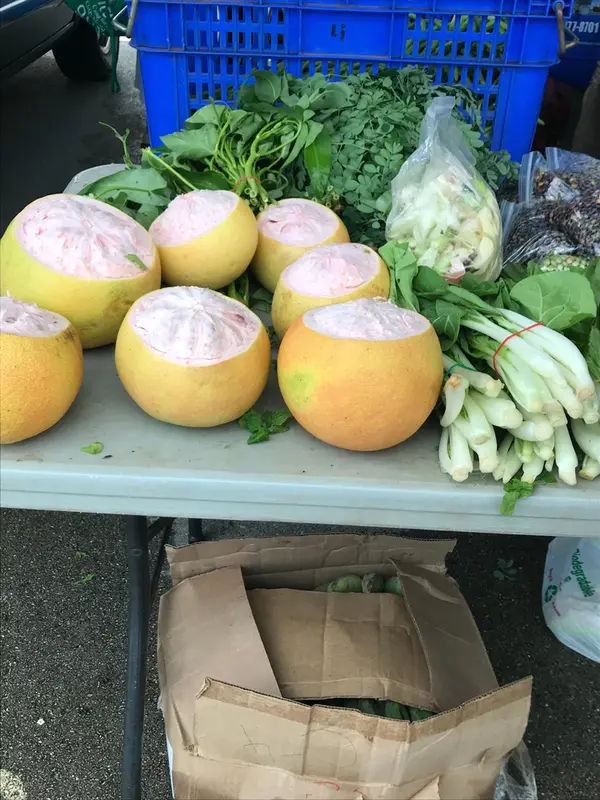 不思議な果物がたくさん🍐🍑🍇