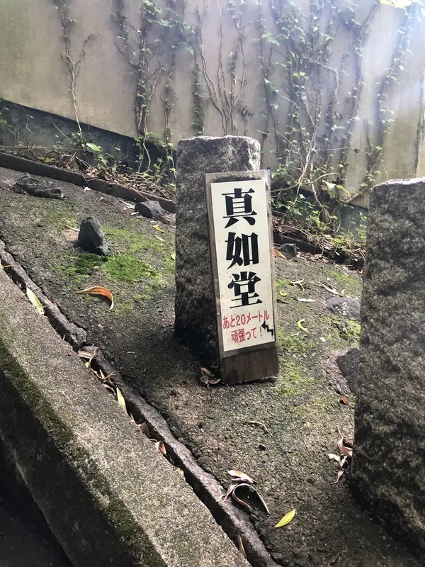 みんな心折れるからかな