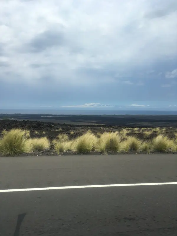 溶岩大地が続く
