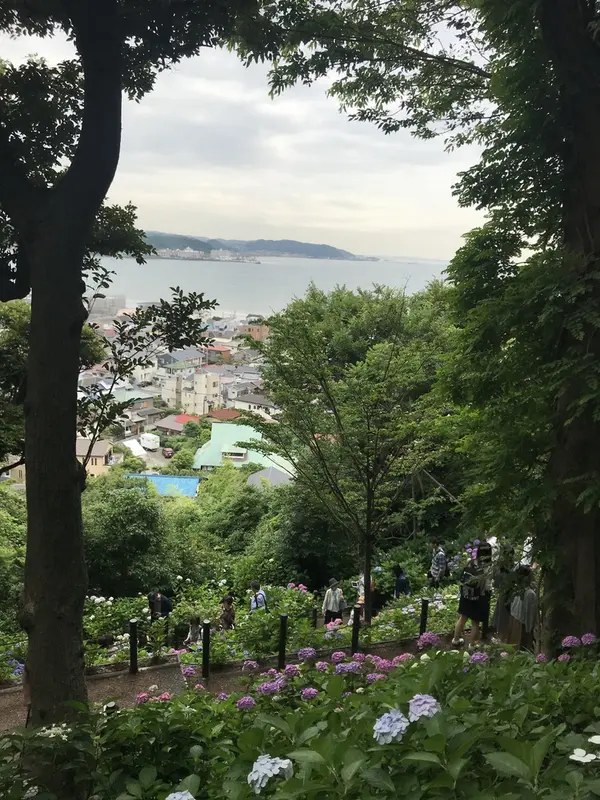 上からの眺め