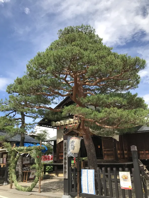 スポット内のおすすめ
