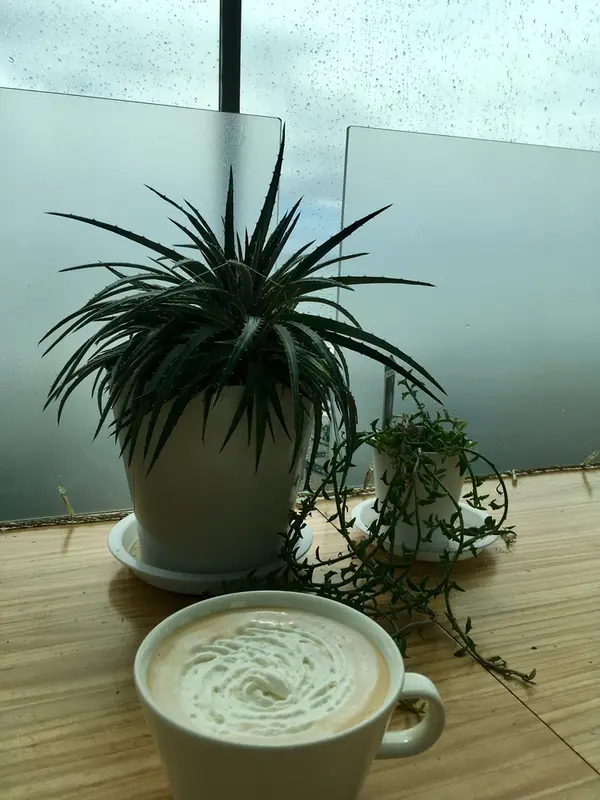 ロイヤルミルクティー