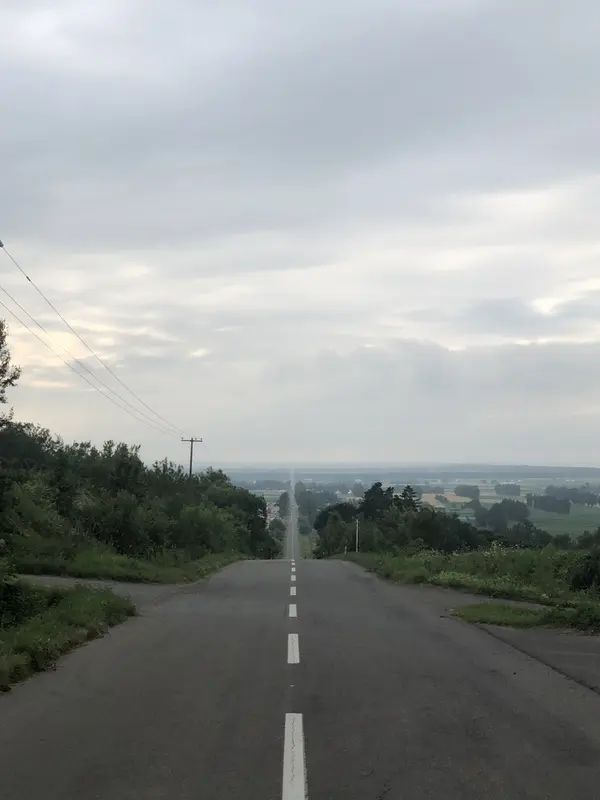 展望台脇の道から