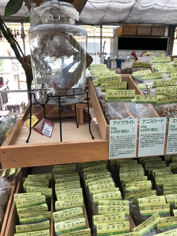 スポット内のおすすめ