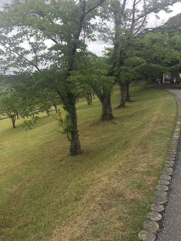 温泉に向かう小道