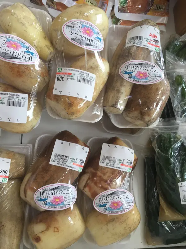 レンコン 新鮮で安い！