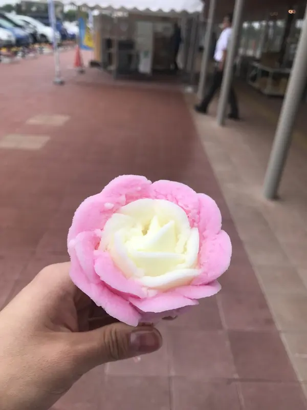 スポット内のおすすめ