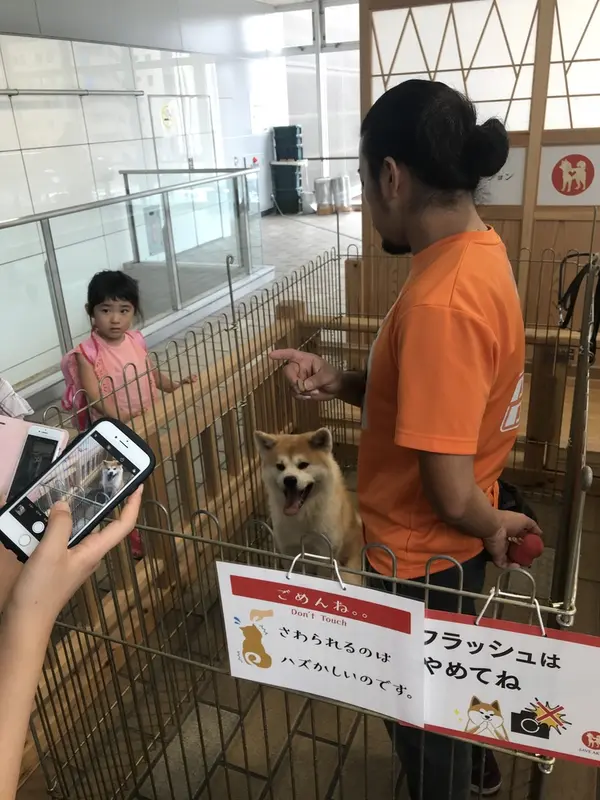 スポット内のおすすめ