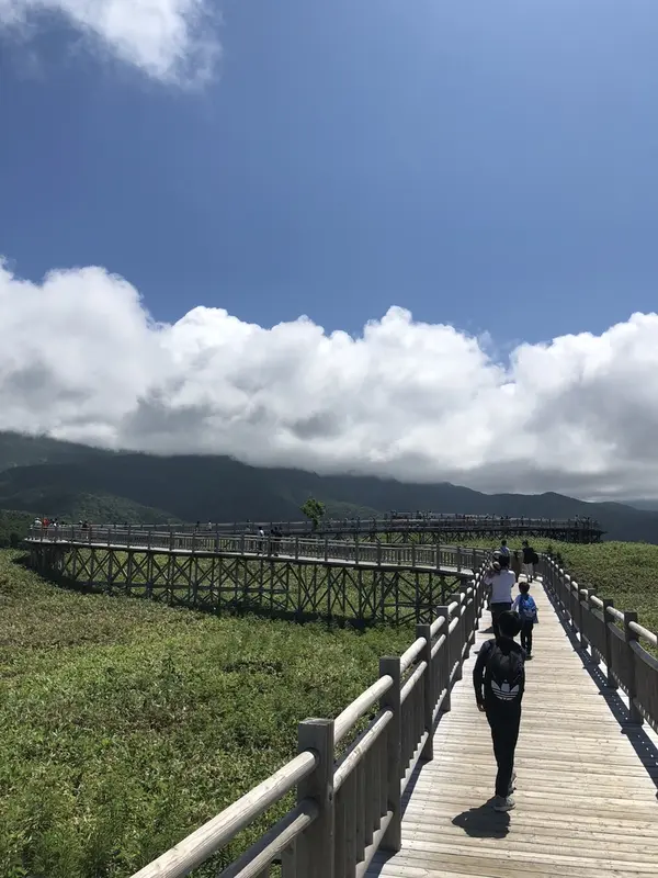 高架木道