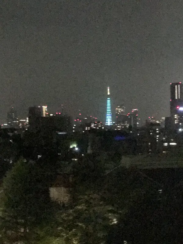 東京タワー側の客室