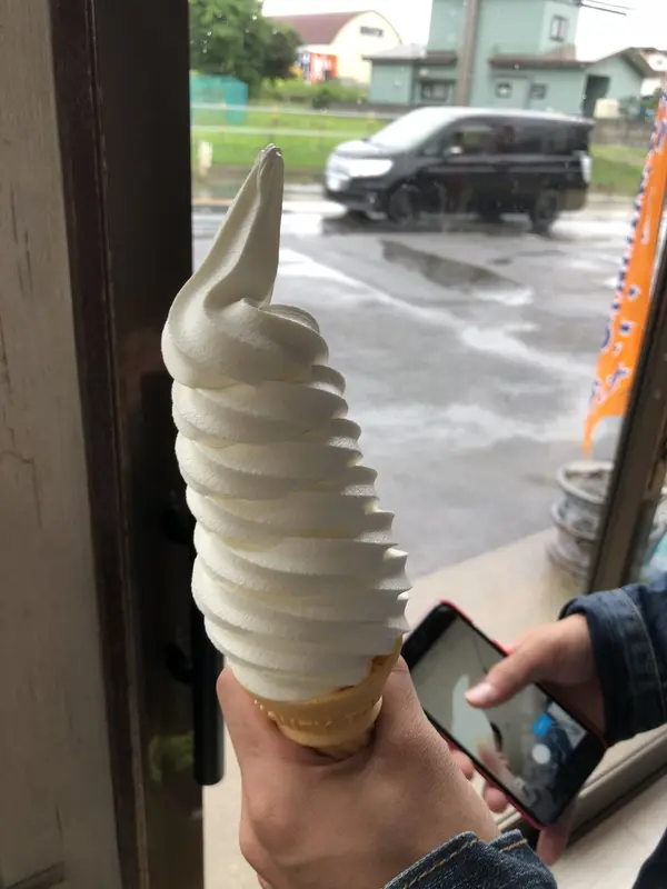 300円でこの高さ