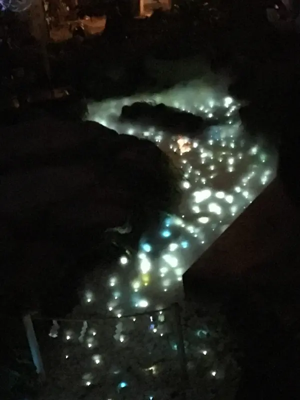 光る川