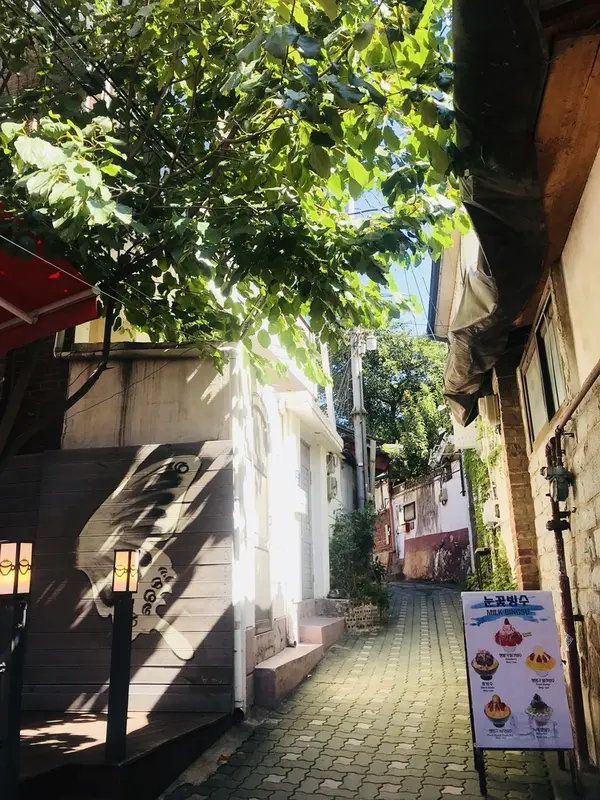 脇道もかわいい