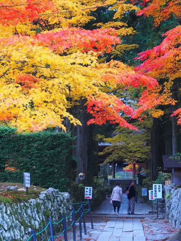 光前寺杉並木の参道