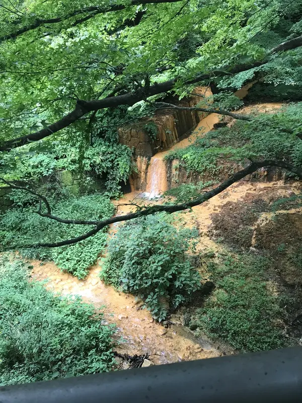 橋から見える風景