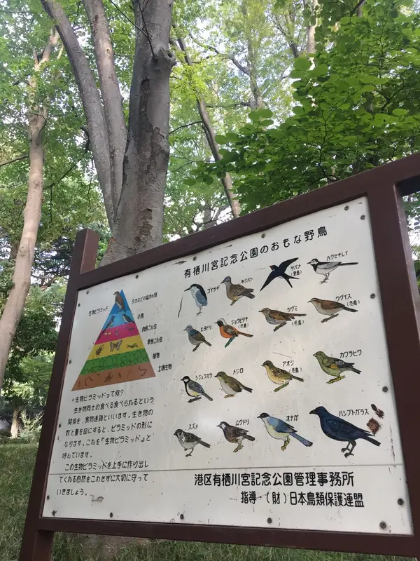 いろんな種類の鳥🕊さんがいます♪
