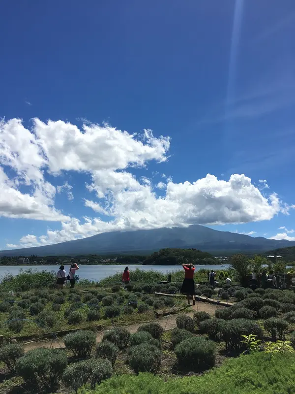 惜しい富士山