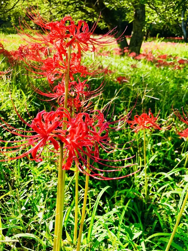 スポット内のおすすめ