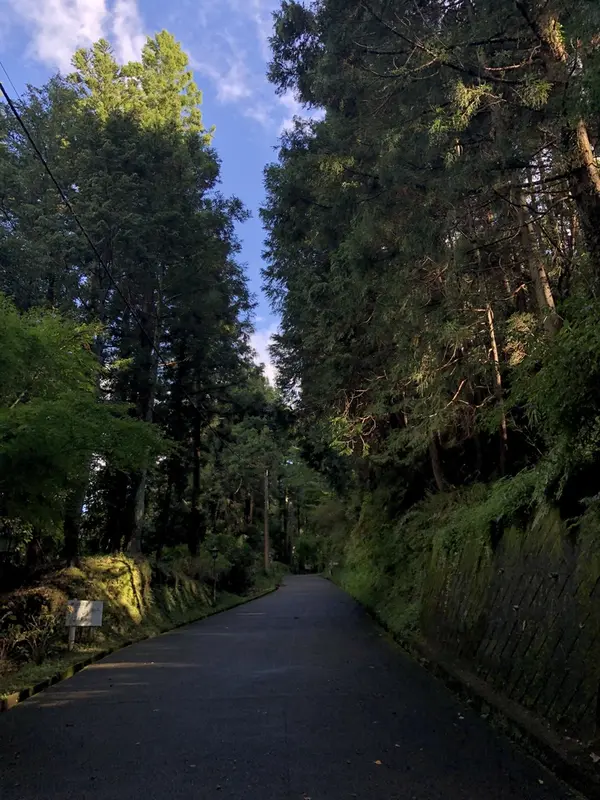 登り口