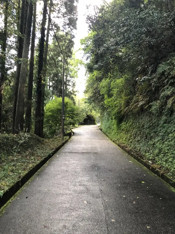 長く続く坂