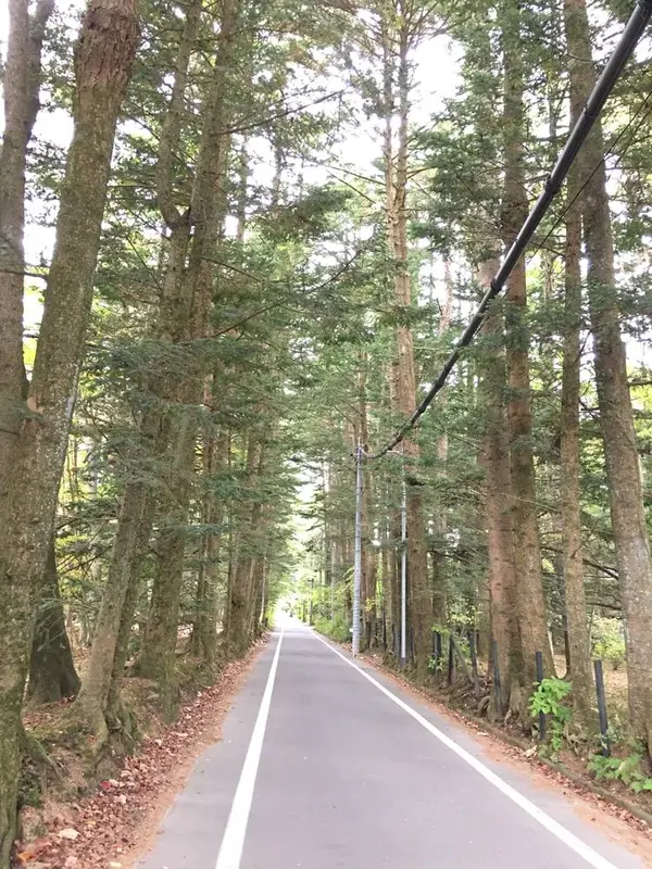 スポット内のおすすめ