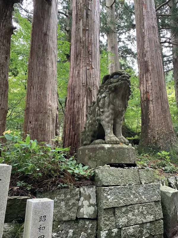 木々が良い雰囲気を醸し出してます。
