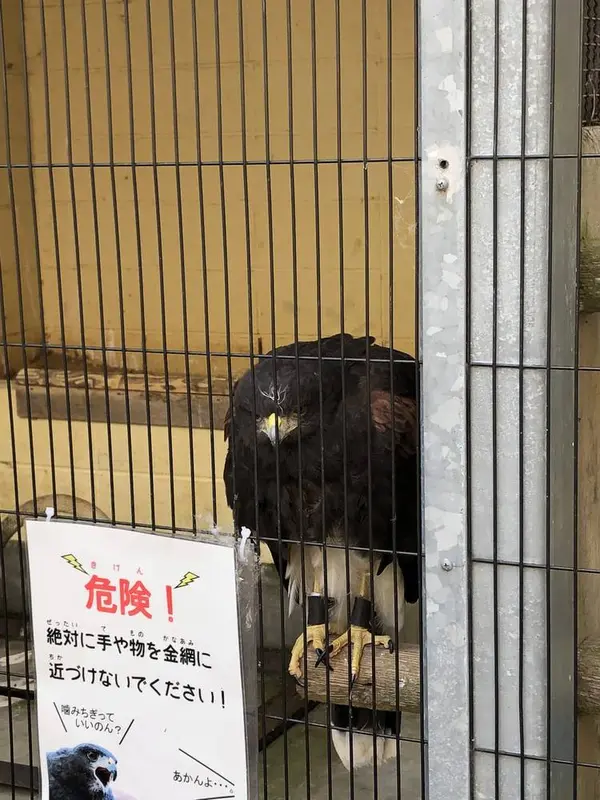 グリーンヒルエリア