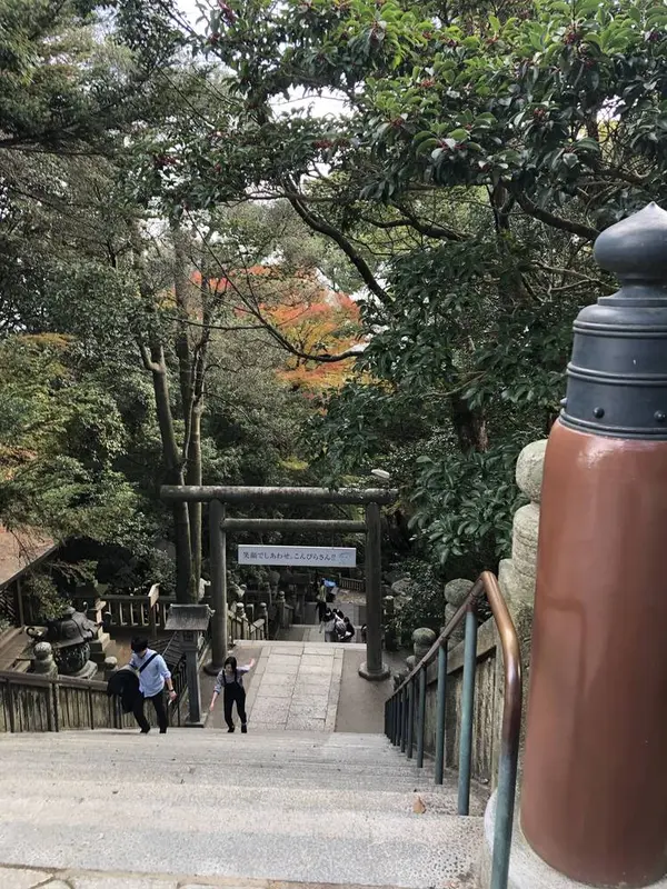 今、来た道