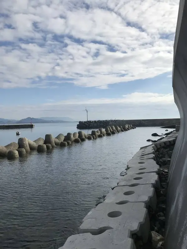 先波止