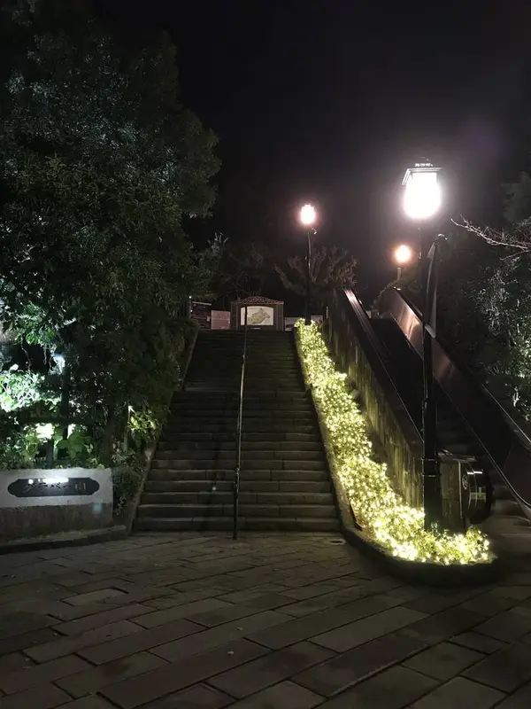 夜はイルミネーションが美しい