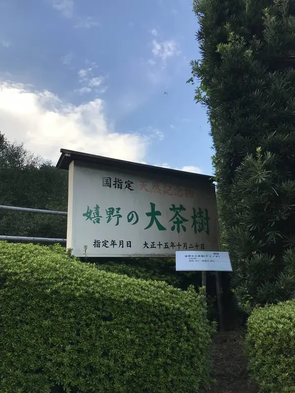 スポット内のおすすめ