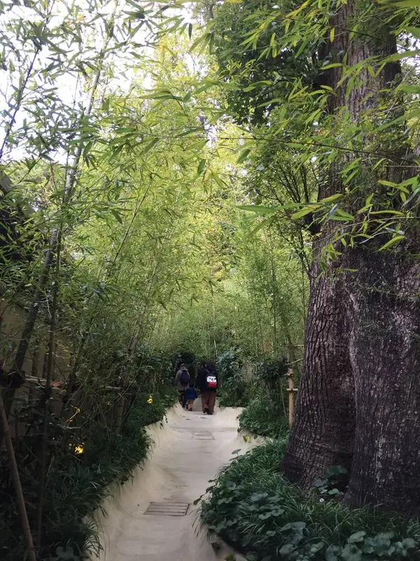 竹林ー。