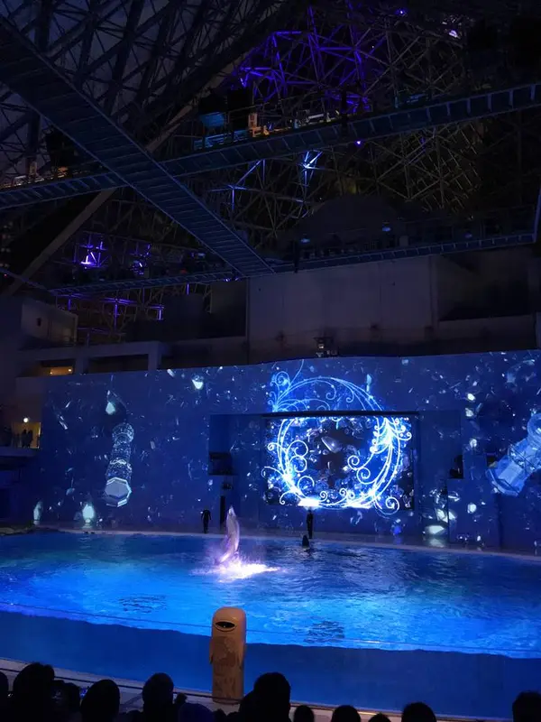 海の動物たちのショー「LIGHTIA」