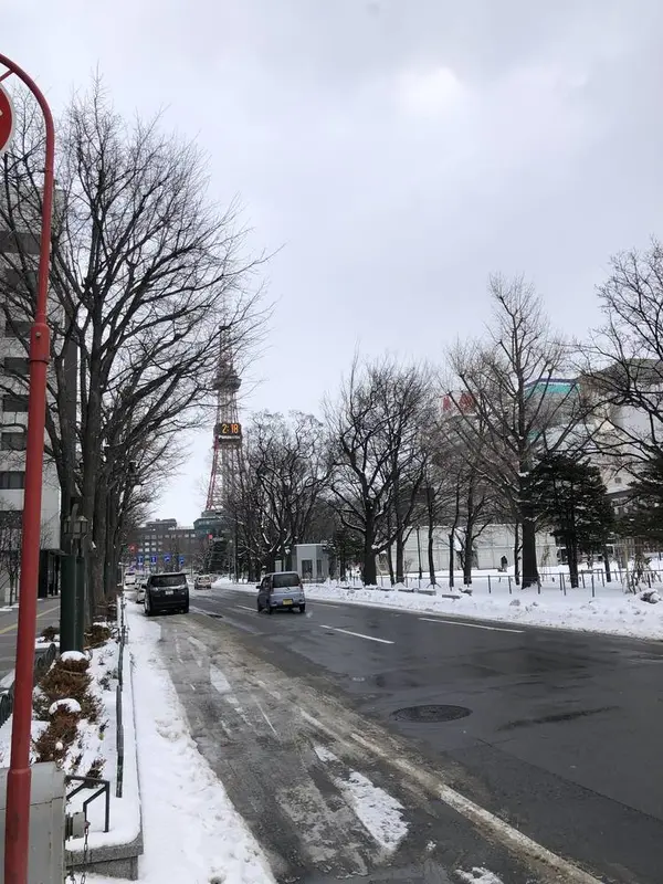 大通り