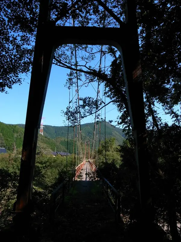 Other side is the forest
