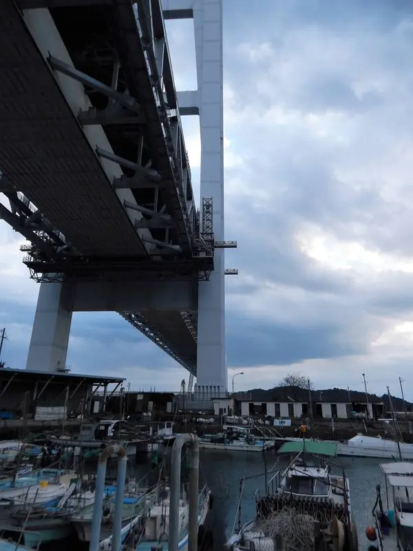 すぐ横の「田之浦港」