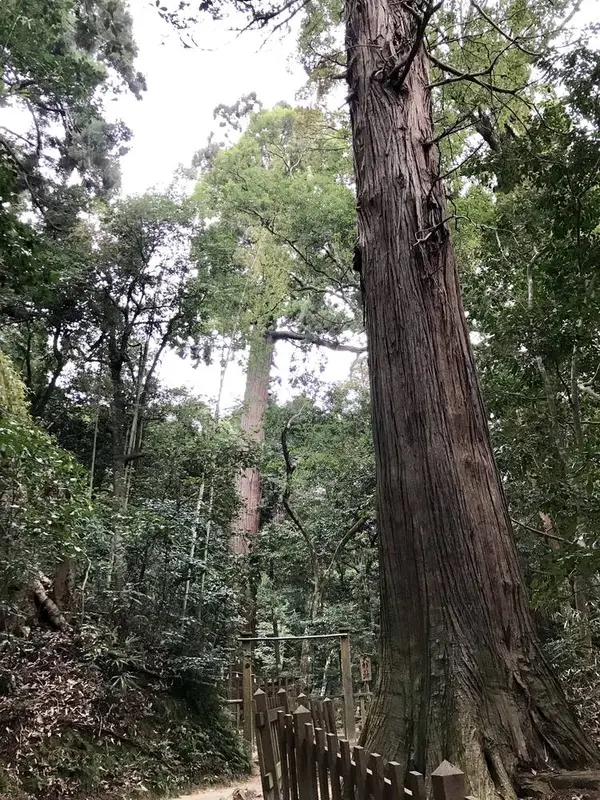 佐久佐女の森へ