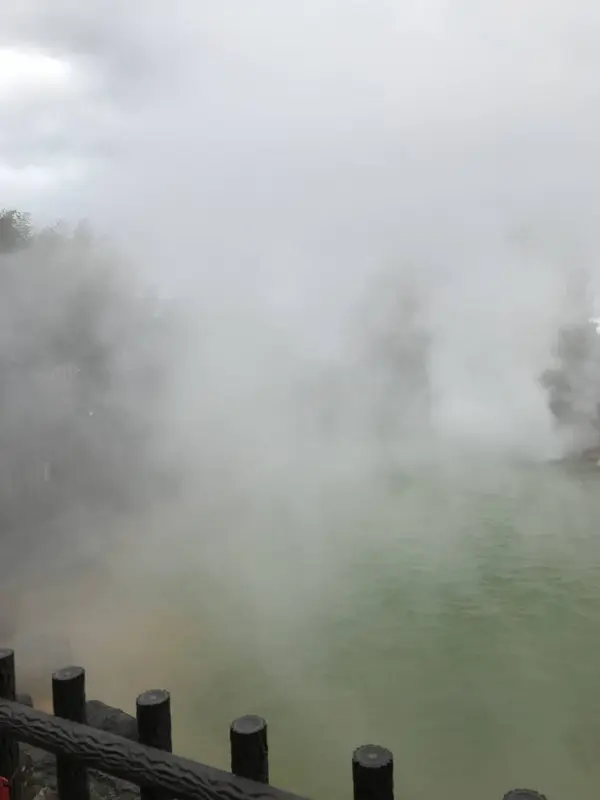 緑色の池