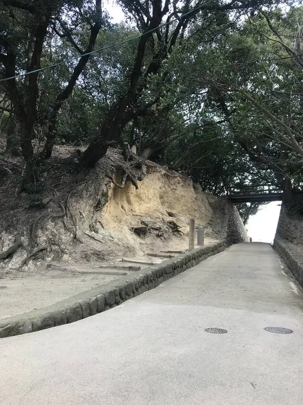 龍の背中に乗れる場所
