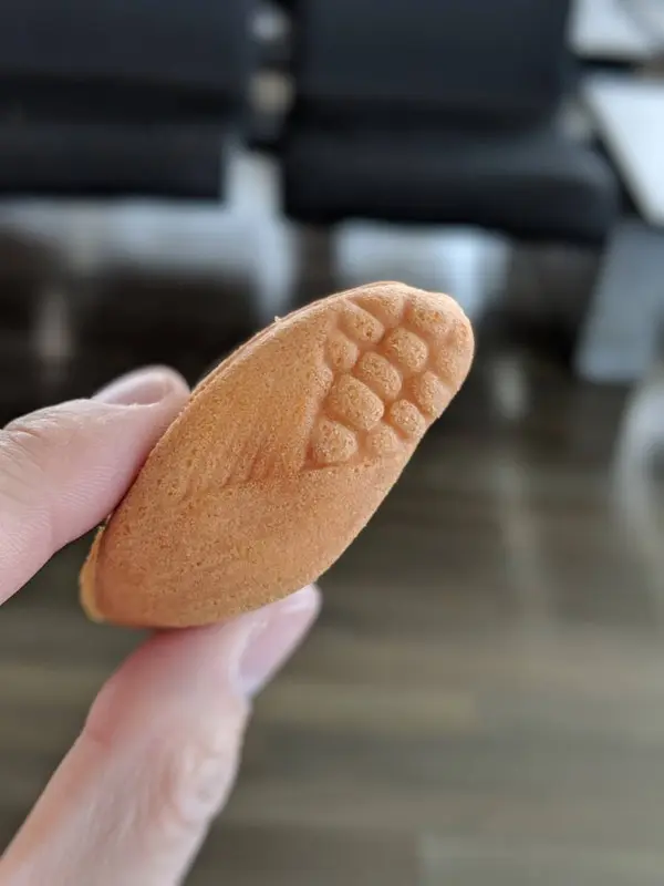 とうもろこしの形